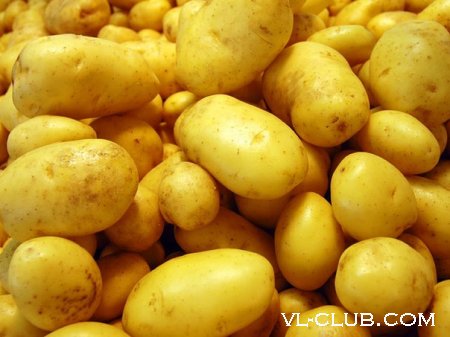 Как выращивать картофель под сеном? Картофель можно выращивать по-разному: традиционно – формируя гребни, в ме