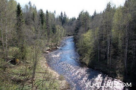 Река Смородина и Калинов мостРека Смородина является практически одним из главных символов в славяно-языческой м