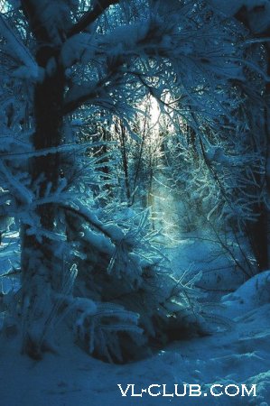 ?agic ?reams пишет:Аудиозапись: Piano - Winter in Forest (03:11)